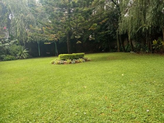 A NICE house with beautiful garden, Ayat.