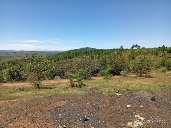 TERRAIN À VENDRE – BEHENJY 