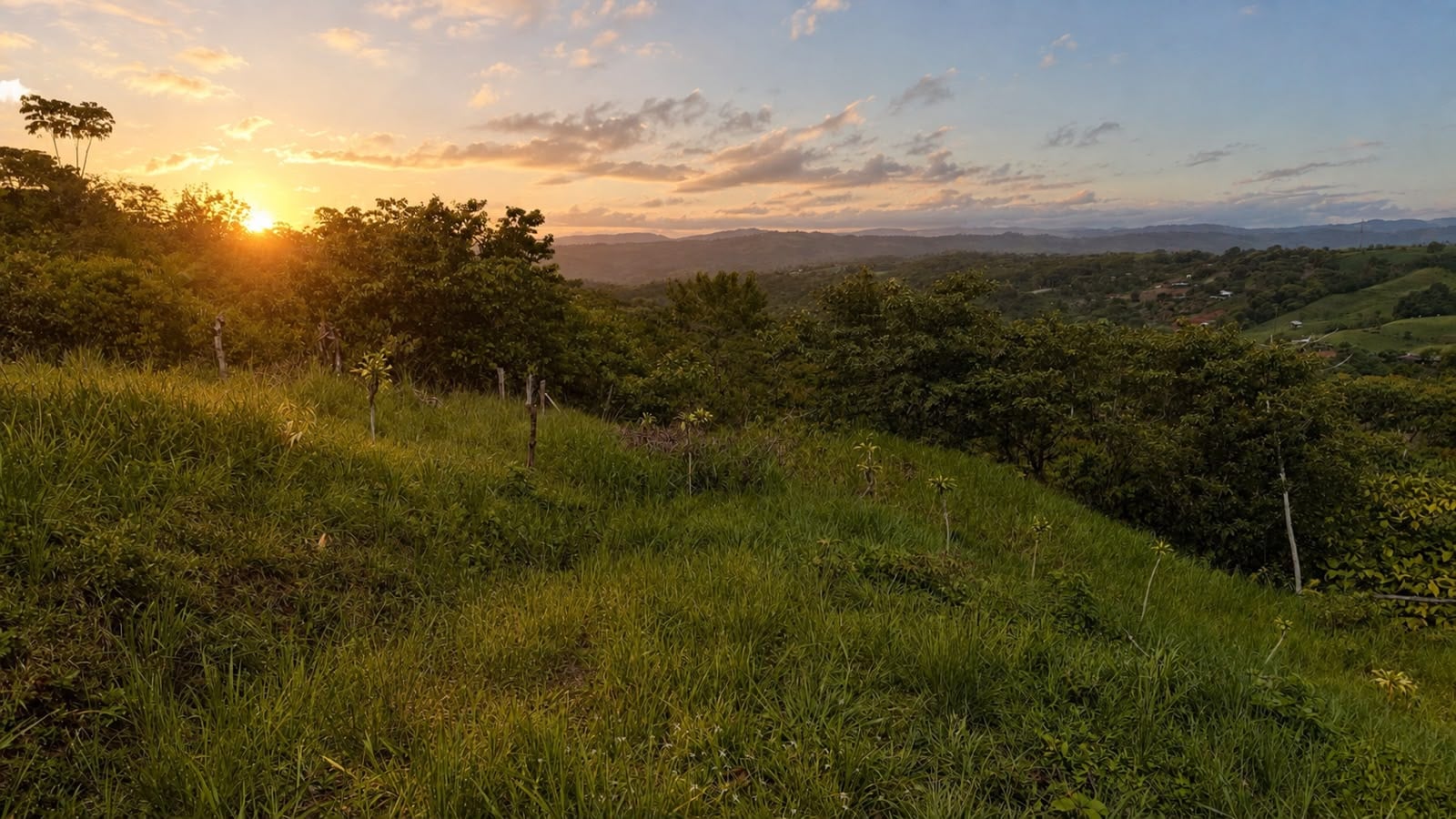 LAND READY TO BUILD WITH INCREDIBLE VIEWS IN BUENOS AIRES