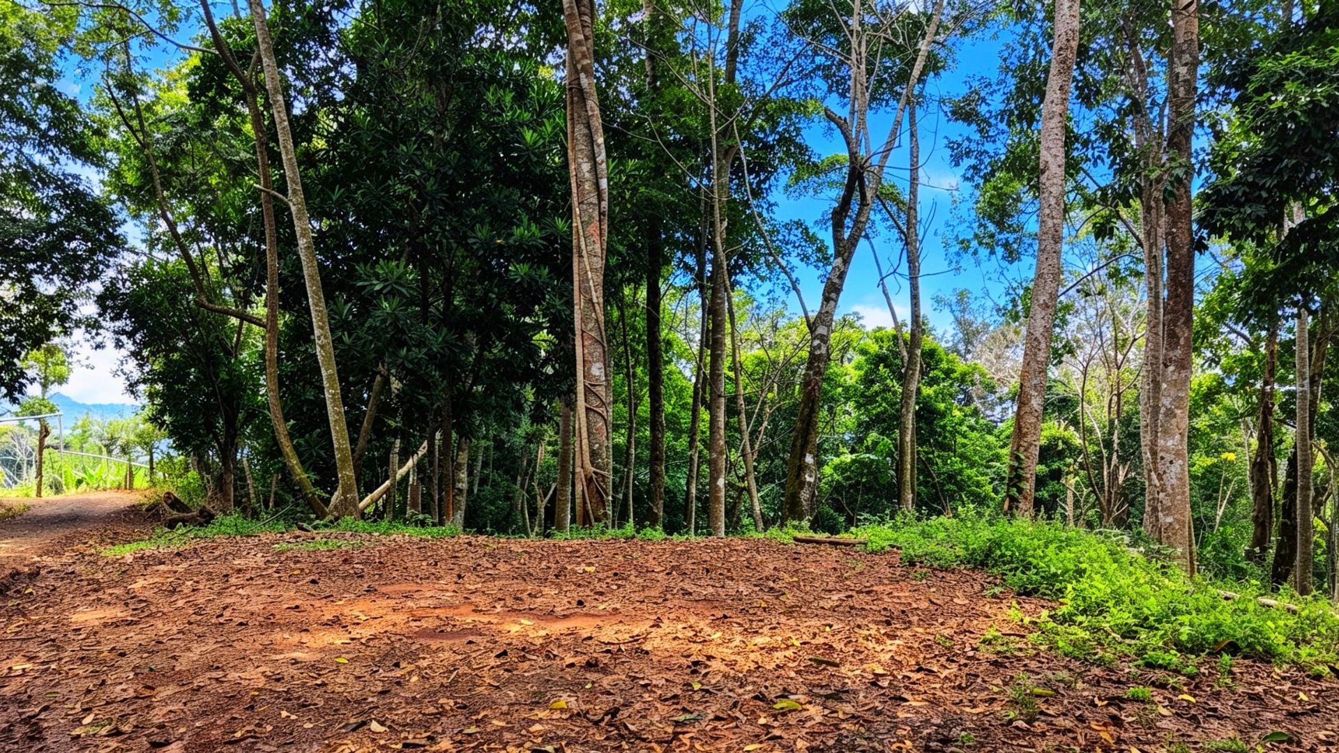 TERRENO LISTO PARA CONSTRUIR EN MIRAVALLES