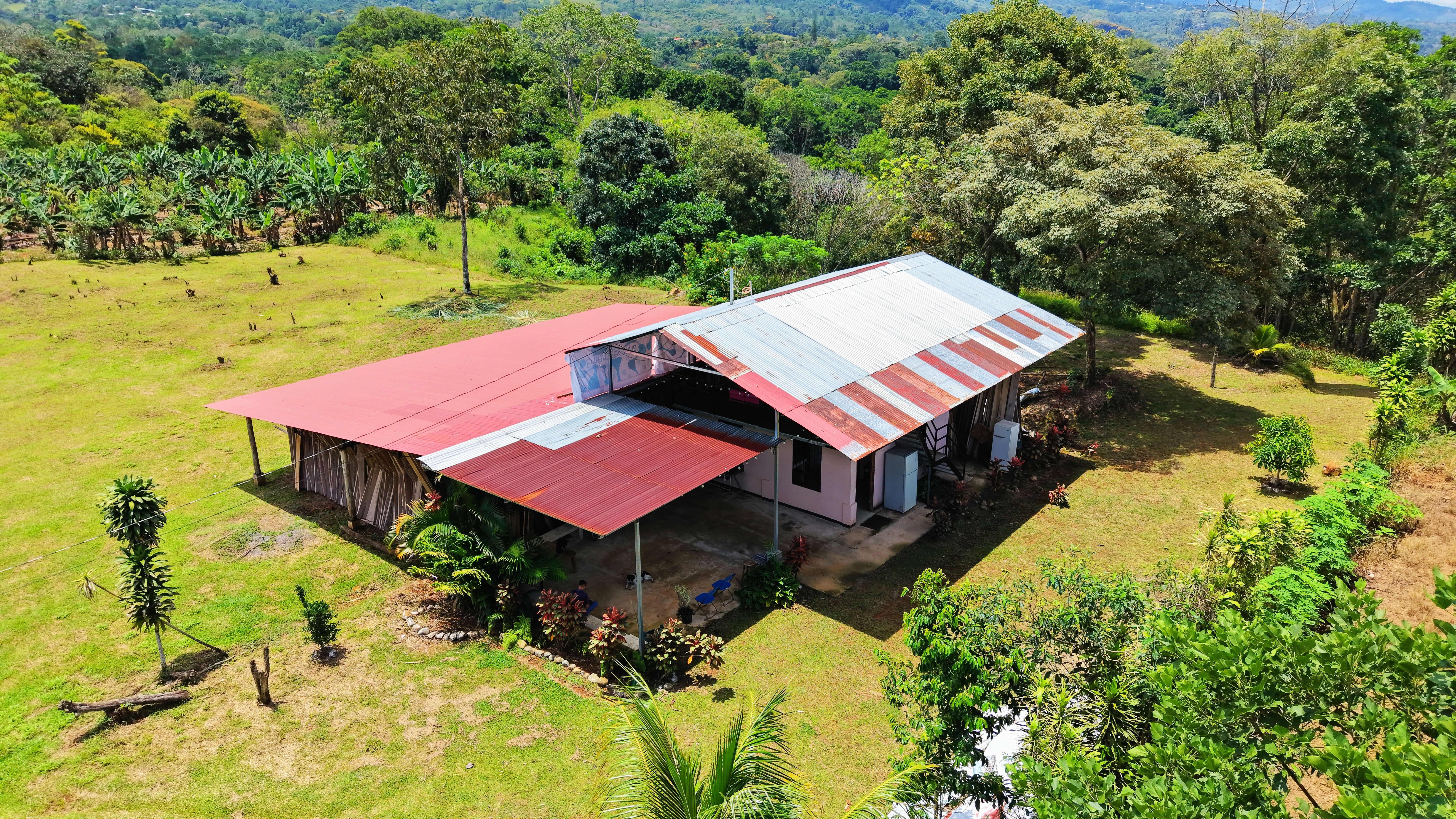 FARM IN SAN PEDRO