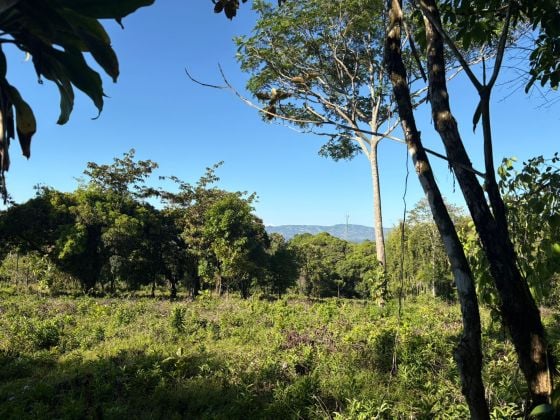 PROPIEDAD DE 1.8HA, UBICADA EN QUIZARRÁ DE PEREZ ZELEDON