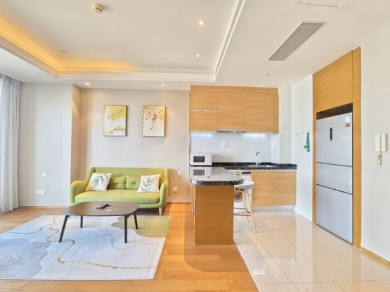 One-bedroom flat in Skyline Condo next to Hilton in metro line 1 in SIP