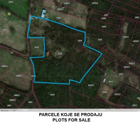 Terrain à bâtir 1,28 ha, Serbie, Jagodina (Đurđevo ...