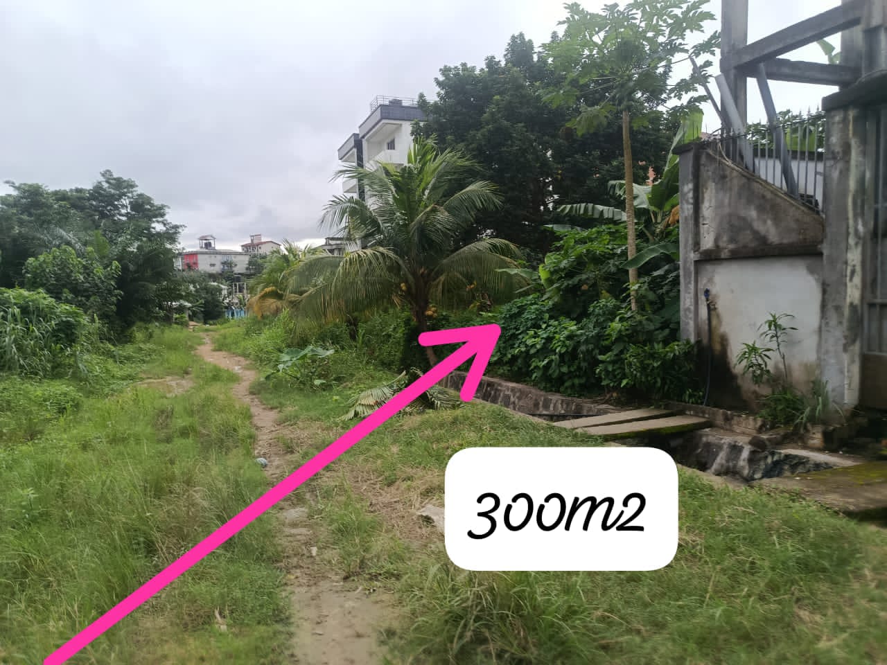 300 M2 disponible à yassa