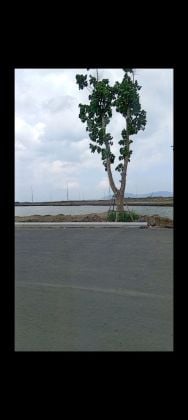 Modern Townhouse for Sale at Vinhomes Green Paradise, Can Gio