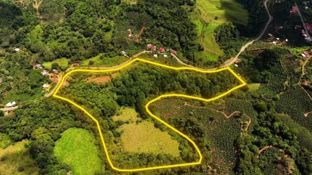 SE VENDE: FINCA DE 20.17 ACRES CON DOS CASAS Y FRENTE AL RÍO EN LAS ...