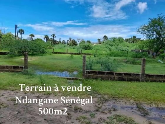 Terrain 500m2 Ndangane campement 