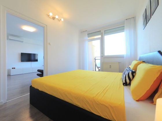 A bright furnished apartment with ample park view