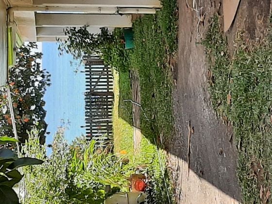 A vendre 4 maisons pieds dans l'eau