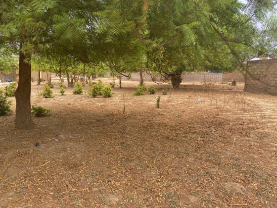 PARCELLE DE 807M² À BASSINKO EN VENTE 