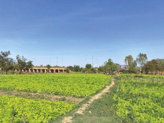 TERRAIN DE 4044 M2 EN VENTE A KOSSODO - A L-ENTREE DE KOSSODO