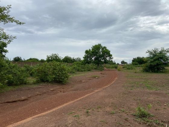 TERRAIN PLAT DE 16021 M2 SOIT 1.6 HECTARE EN VENTE A KOUBRI A 1 KM DE AQUA ...