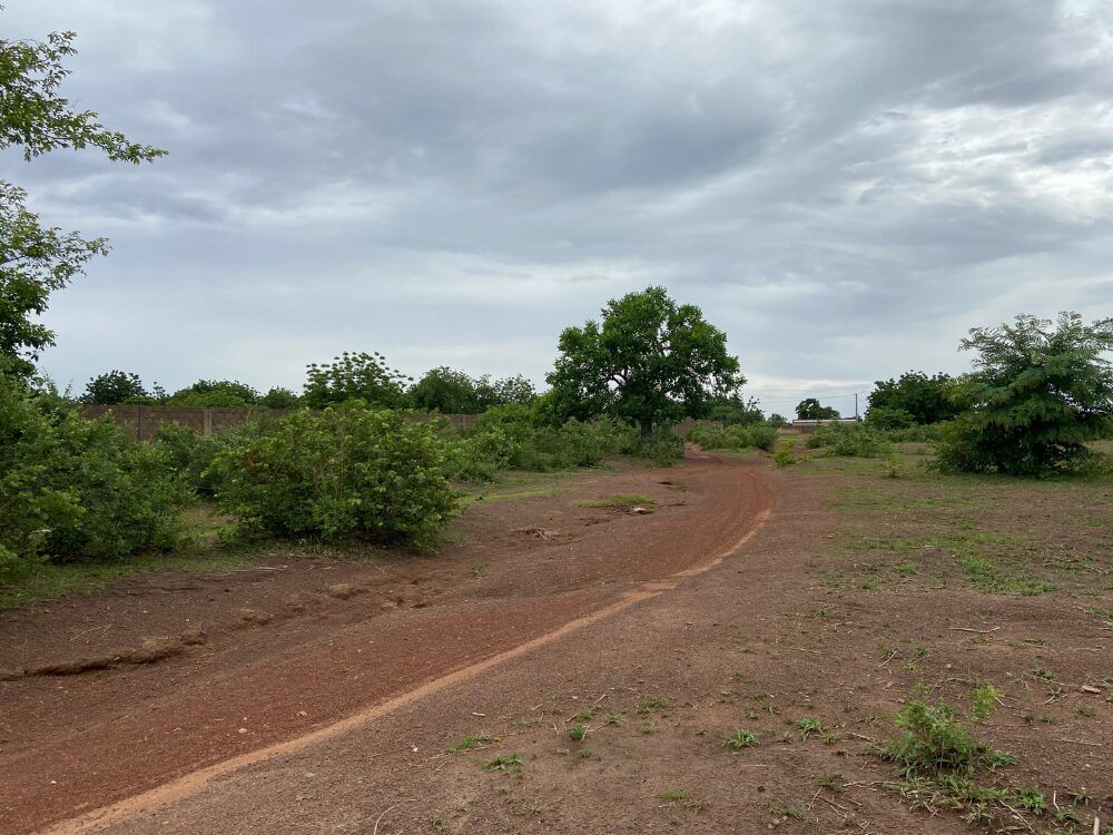 TERRAIN PLAT DE 16021 M2 SOIT 1.6 HECTARE EN VENTE A KOUBRI A 1 KM DE AQUA PARK