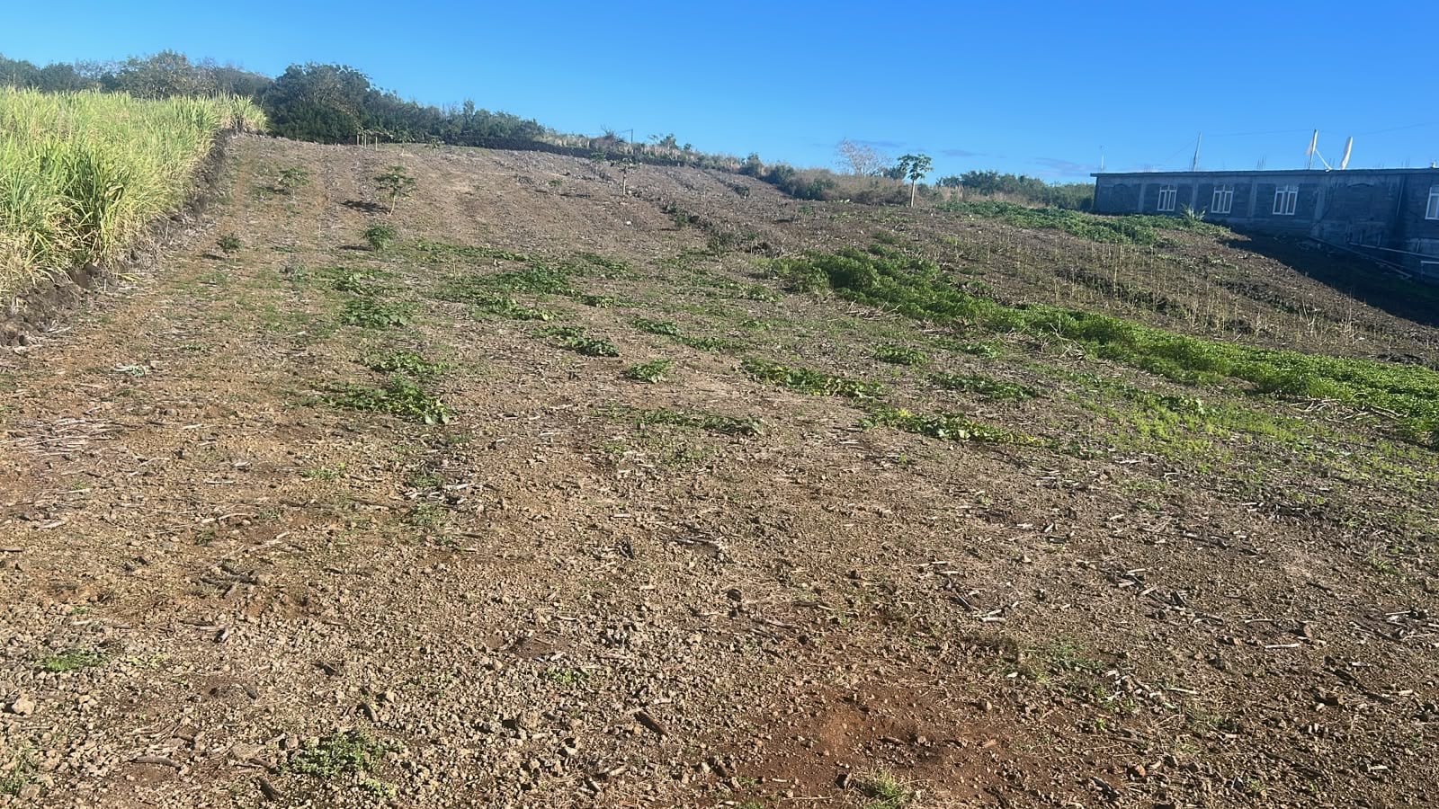 LAND FOR SALE IN MONT MASCAL
