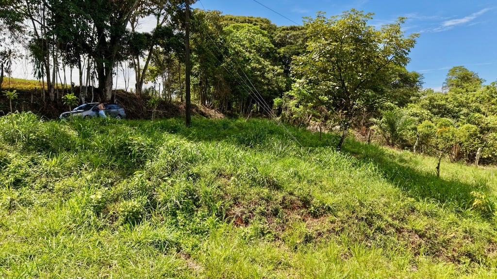 SE VENDE: TERRENO DE 272 M² EN TRES RIOS, PÉREZ ZELEDÓN: VISTAS IMPRESIONANTES Y POTENCIAL PARA AIRBNB