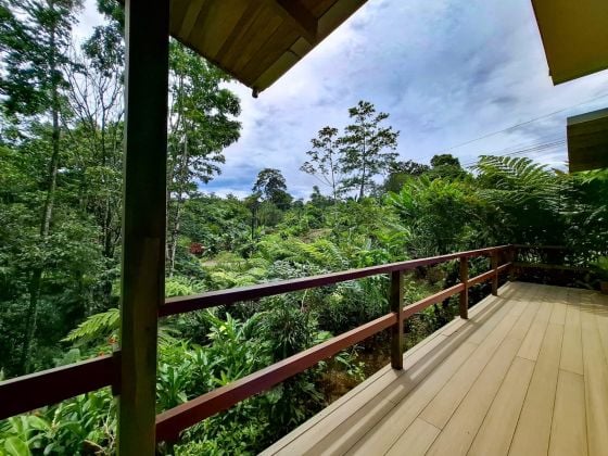 Rainforest Property For Sale – 5,800 m² in La Lucha, San ...