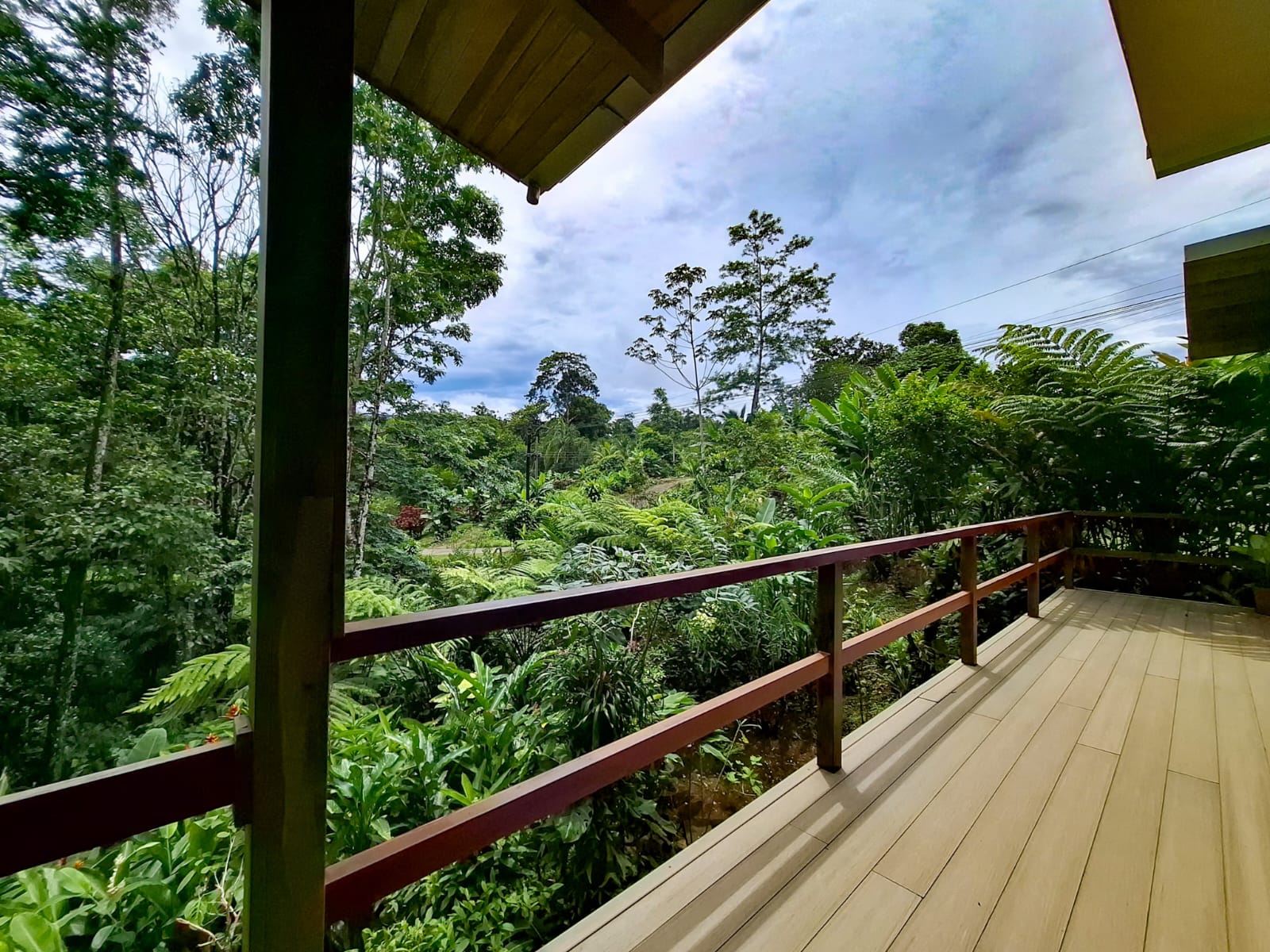 Rainforest Property For Sale – 5,800 m² in La Lucha, San Carlos, Costa Rica