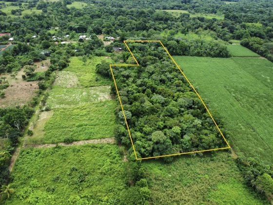 TERRENO CON SELVA NATURAL Y ACCESO DIRECTO POR CALLE