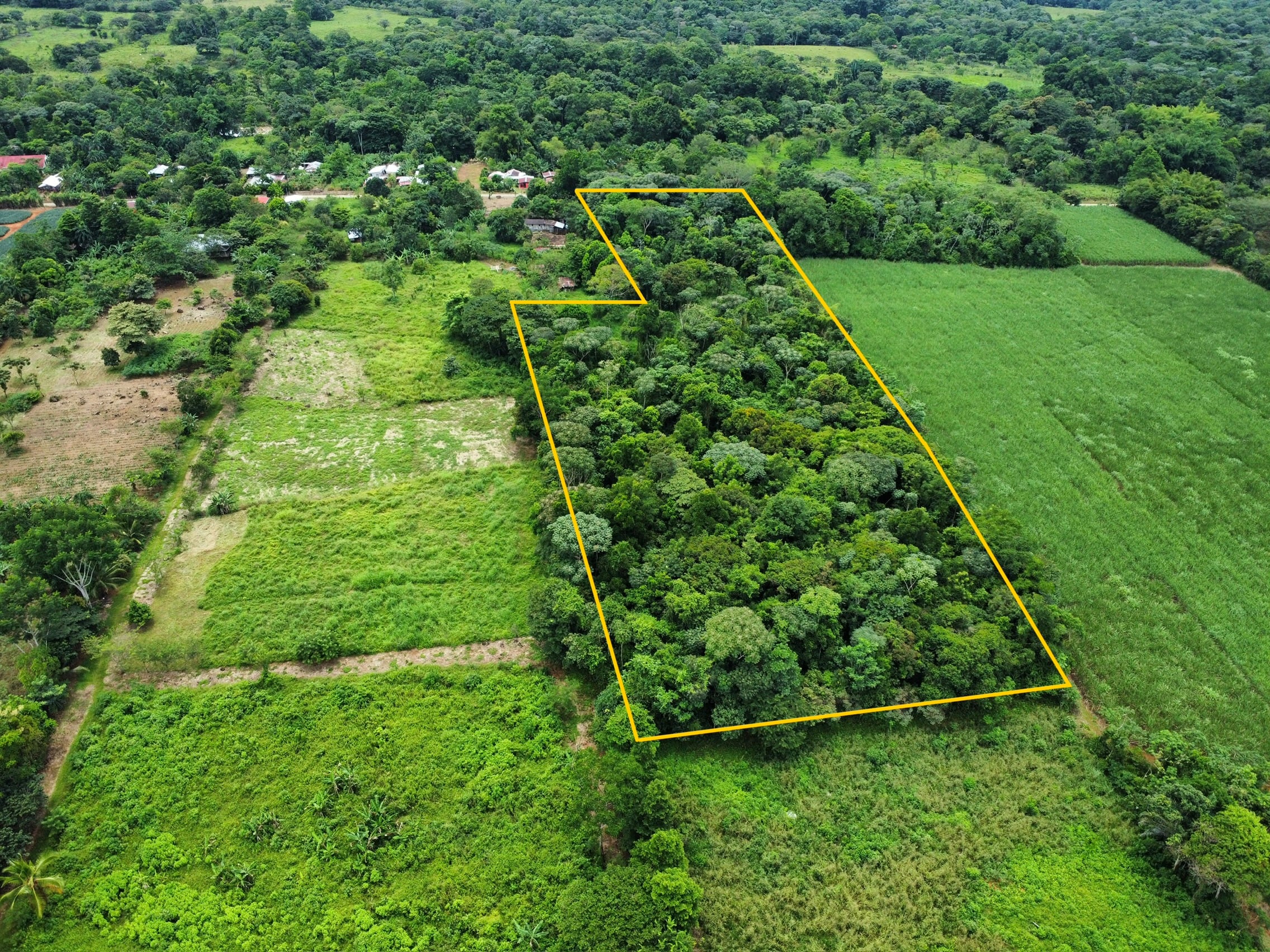 TERRENO CON SELVA NATURAL Y ACCESO DIRECTO POR CALLE