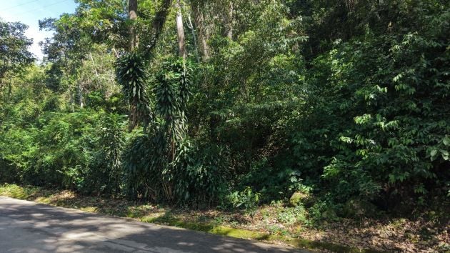FOR SALE: 0.96-ACRE FLAT LAND WITH PAVED FRONTAGE NEAR CHIRRIPO RIVER IN ...