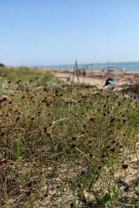 Building Plot with Approved Project for Detached House – Lido di ...