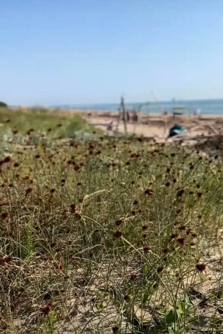 Building Plot with Approved Project for Detached House – Lido di Classe