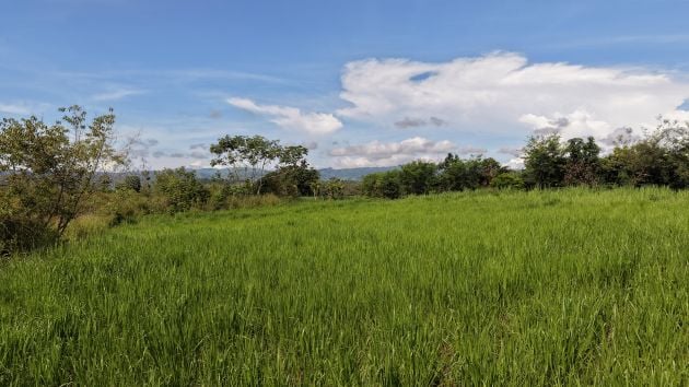 READY TO BUILD FLAT LAND