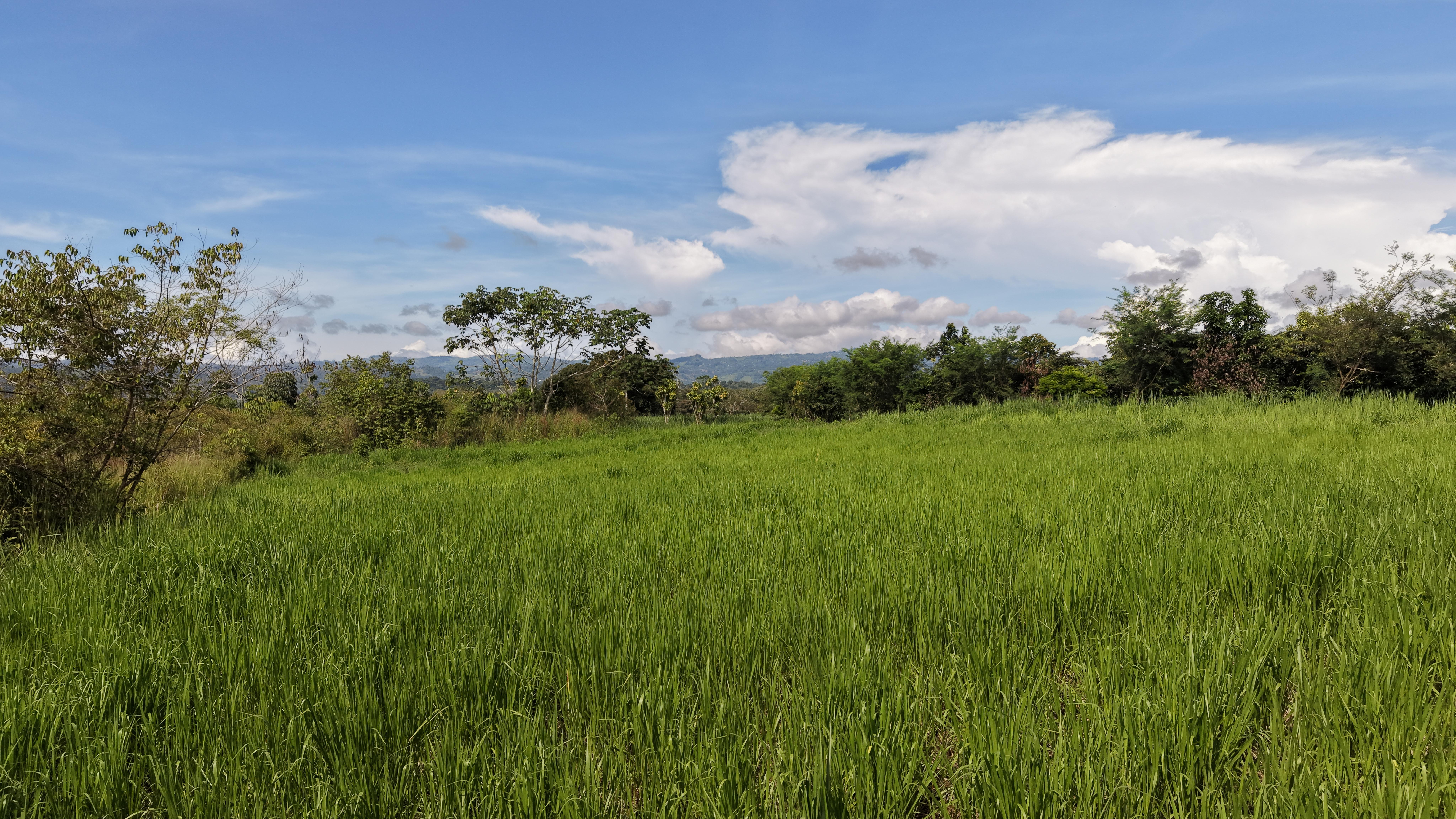 READY TO BUILD FLAT LAND