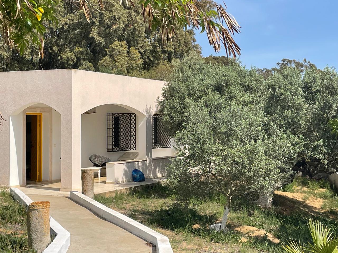 location maison  très calme dans grande propriété arborée