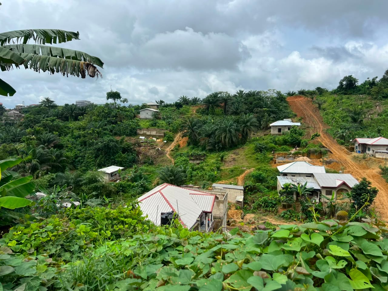 Terrain titré à vendre à Douala pk19 entrée prison 