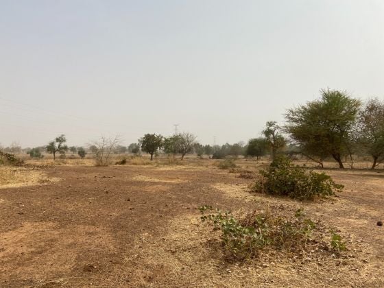 PARCELLE NUE TYPE PAN COUPÉ DE 263 M² EN VENTE À KOUBA 