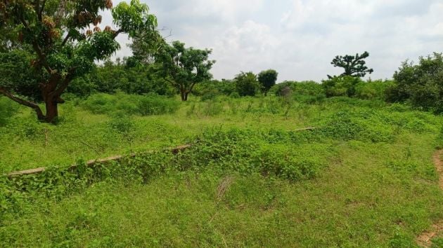 Terrain de 450 mètres carrés à vendre à Sindia ...