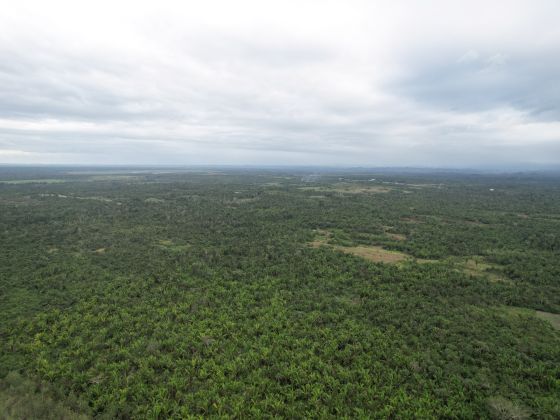 25 acres de terres agricoles de premier choix, autonomes en ...
