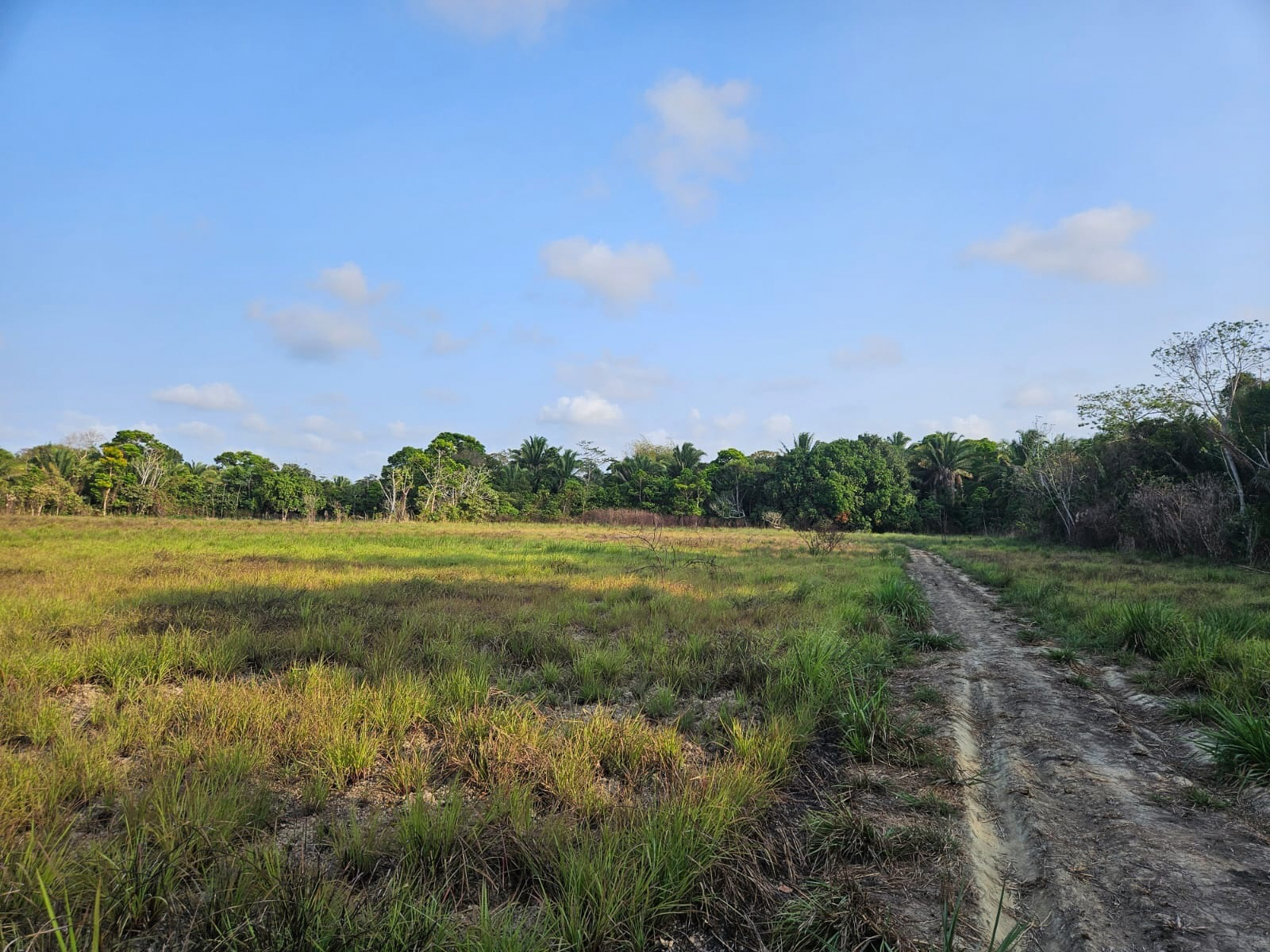 20 acres à Freshwater Creek, village de Hopkins