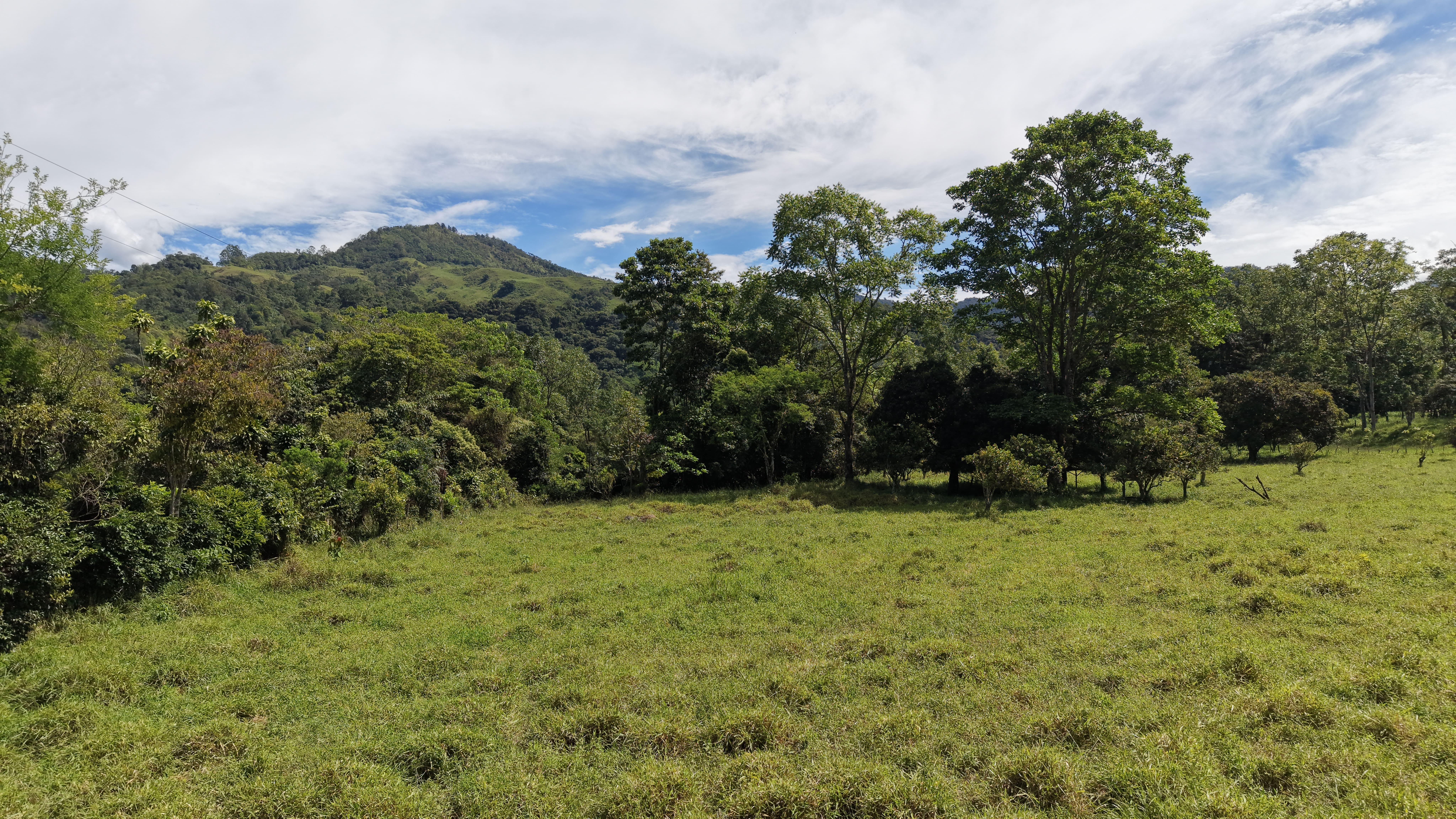 TERRAIN AGRICOLE AVEC RUISSEAU NATUREL PRIVÉ ET ACCÈS FACILE À SAN FRANCISCO DE RIVAS