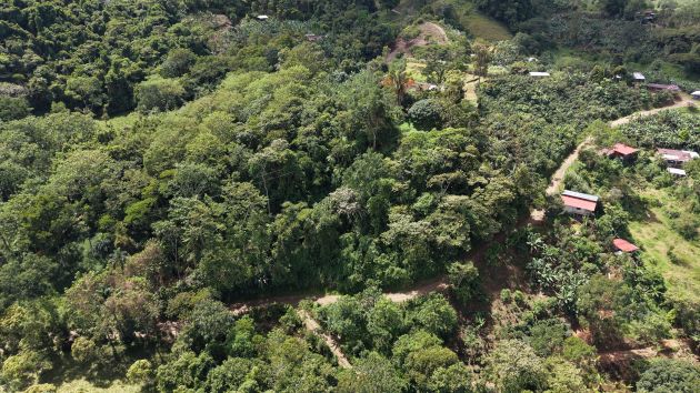 TERRENO LISTO PARA CONSTRUIR CON BOSQUE