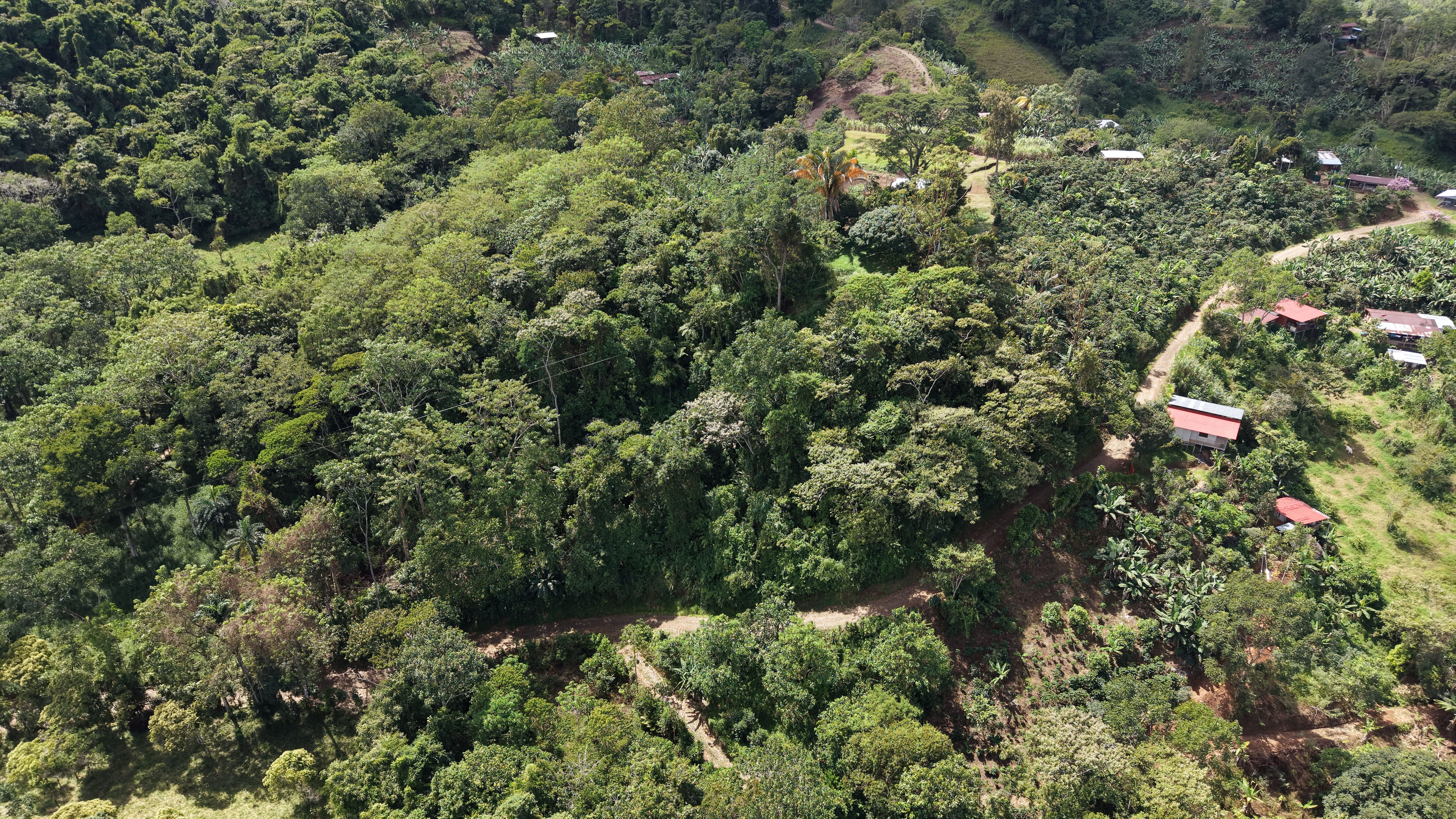 TERRENO LISTO PARA CONSTRUIR CON BOSQUE