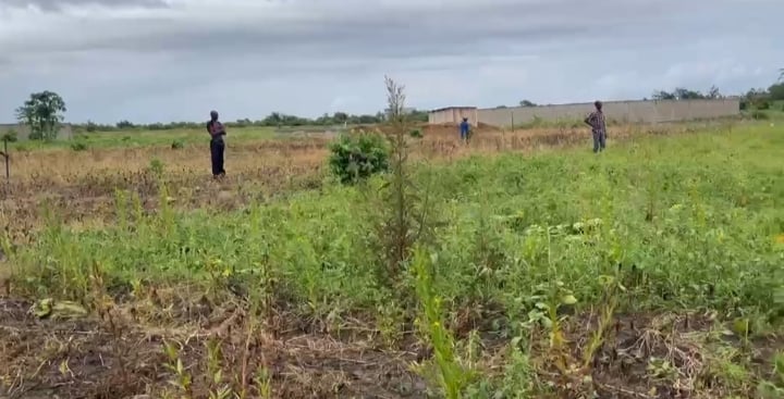 Bassam, 2 lotti adiacenti (500 m² + 532 m²), possibilità di acquisire 1 lotto