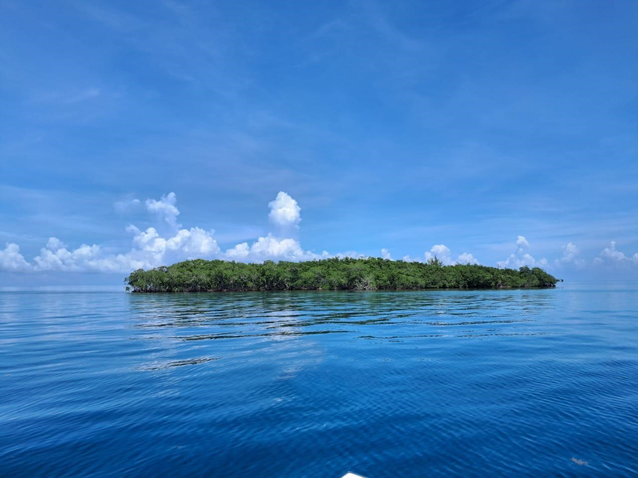 Isola privata di 5 acri a sud di Placencia