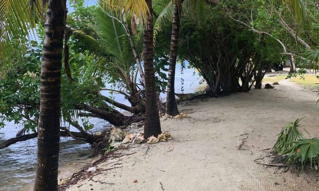 Un paradiso su un'isola privata di 5 acri.