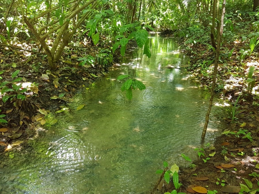 30 acri di terreno con sorgenti termali e fredde
