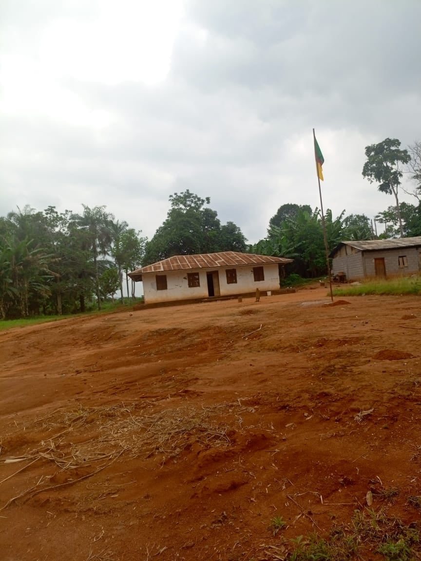 5000m2 plot of land with title deed, priced at 15,000,000 CFA francs in Yaoundé-EMIA