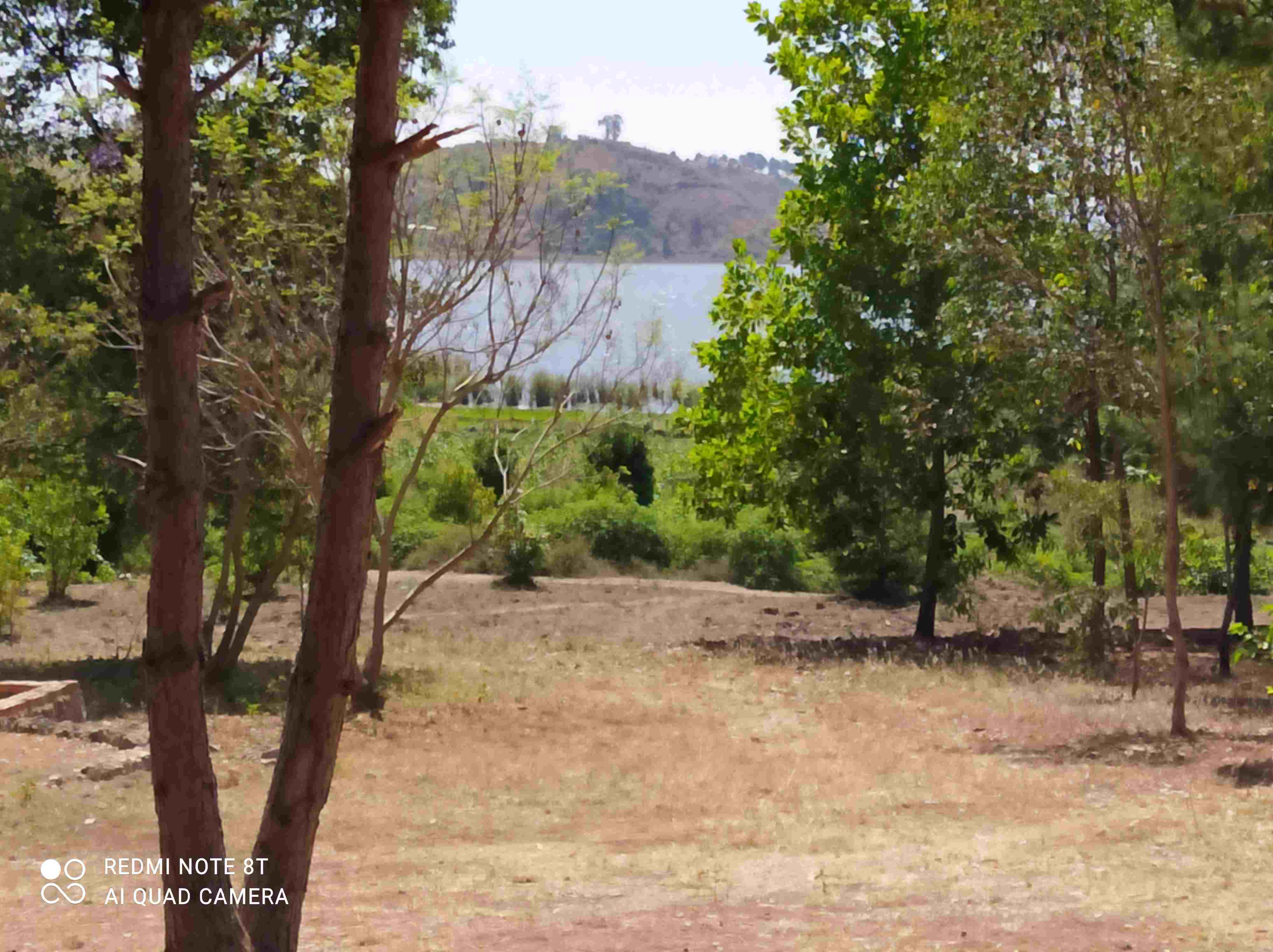 Ampefy / Madagascar, A VENDRE un très beau terrain arboré au bord du lac Itasy