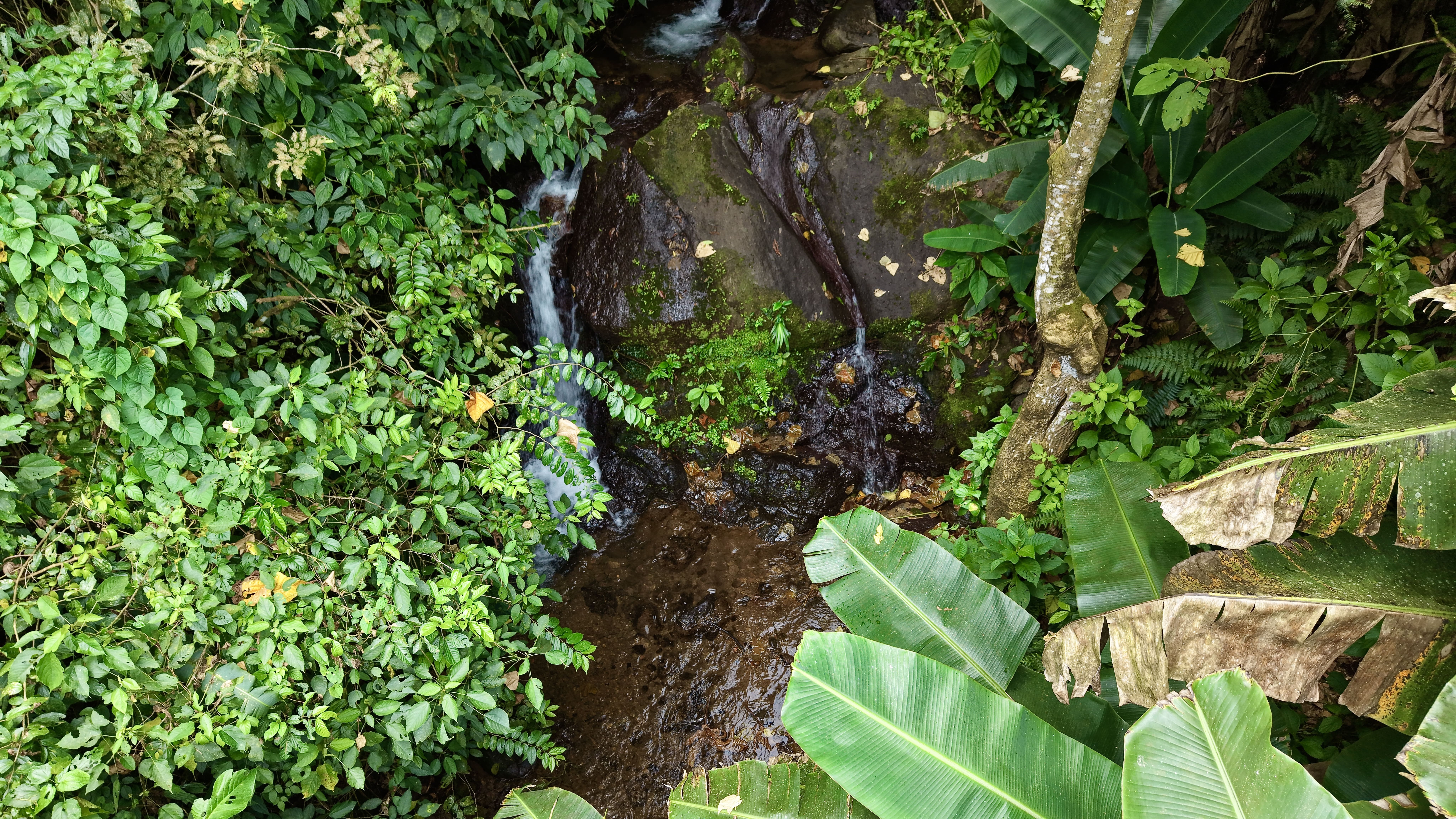 FARM WITH PRIVATE WATERFALL AND UNIQUE NATURAL SURROUNDINGS