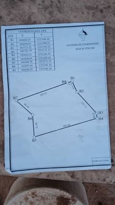 5hectare en vente a Bama Proche de bobo dioulasso