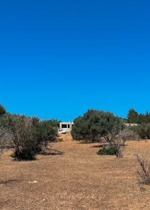 À VENDRE : 2 Derniers Lots d'Exception de 800m2 à Tekelsa