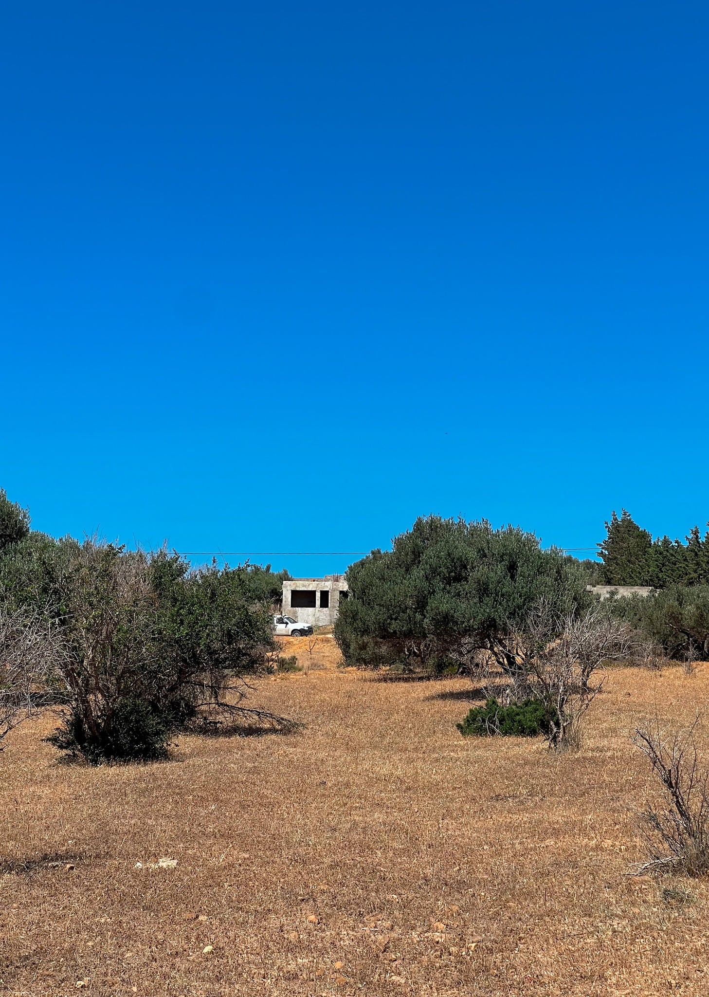 À VENDRE : 2 Derniers Lots d'Exception de 800m2 à Tekelsa