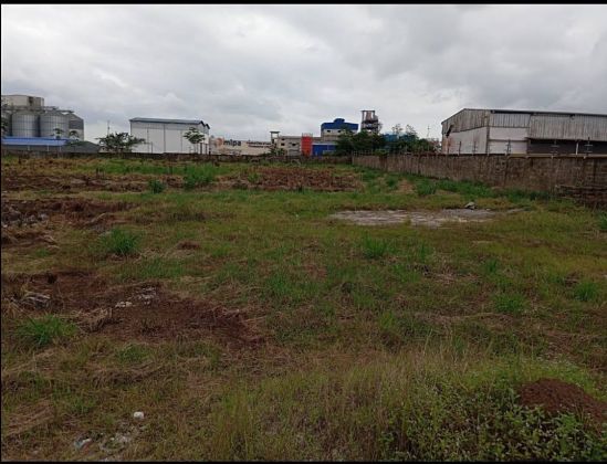  zone industrielle pk24 vente terrain industriel 7135 m2