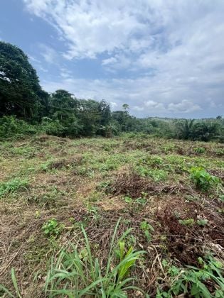 TERRAIN APPROUVE AZAGUIE